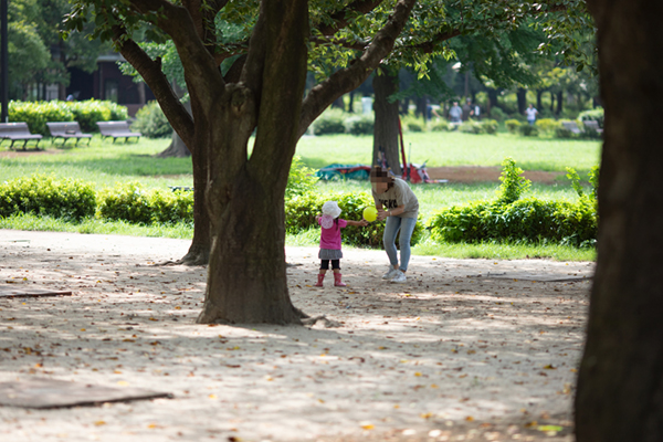 木場公園1