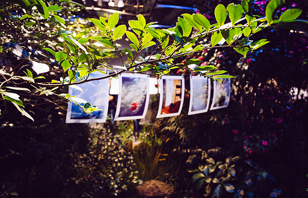 植物の密集の中で