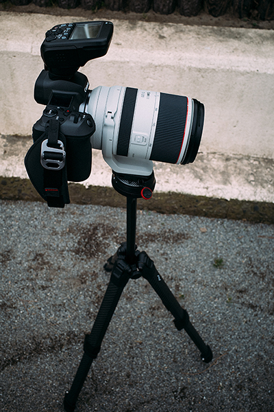 Canon EOS Rシステムを乗せた状態