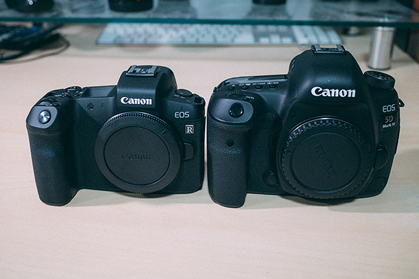 EOS5DとR比較 正面