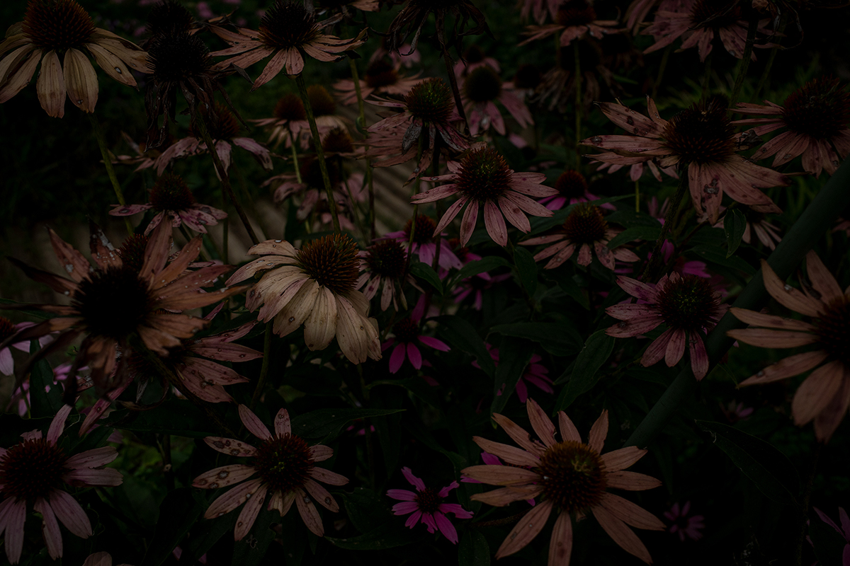 露出を極力落とす