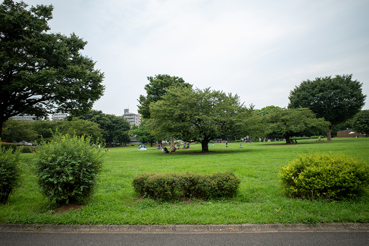 フィルターなし#5