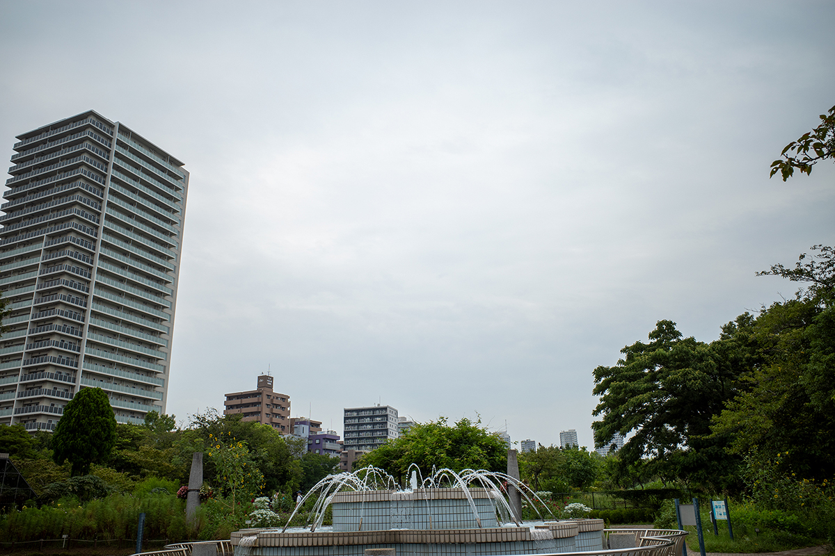 フィルターなし#6