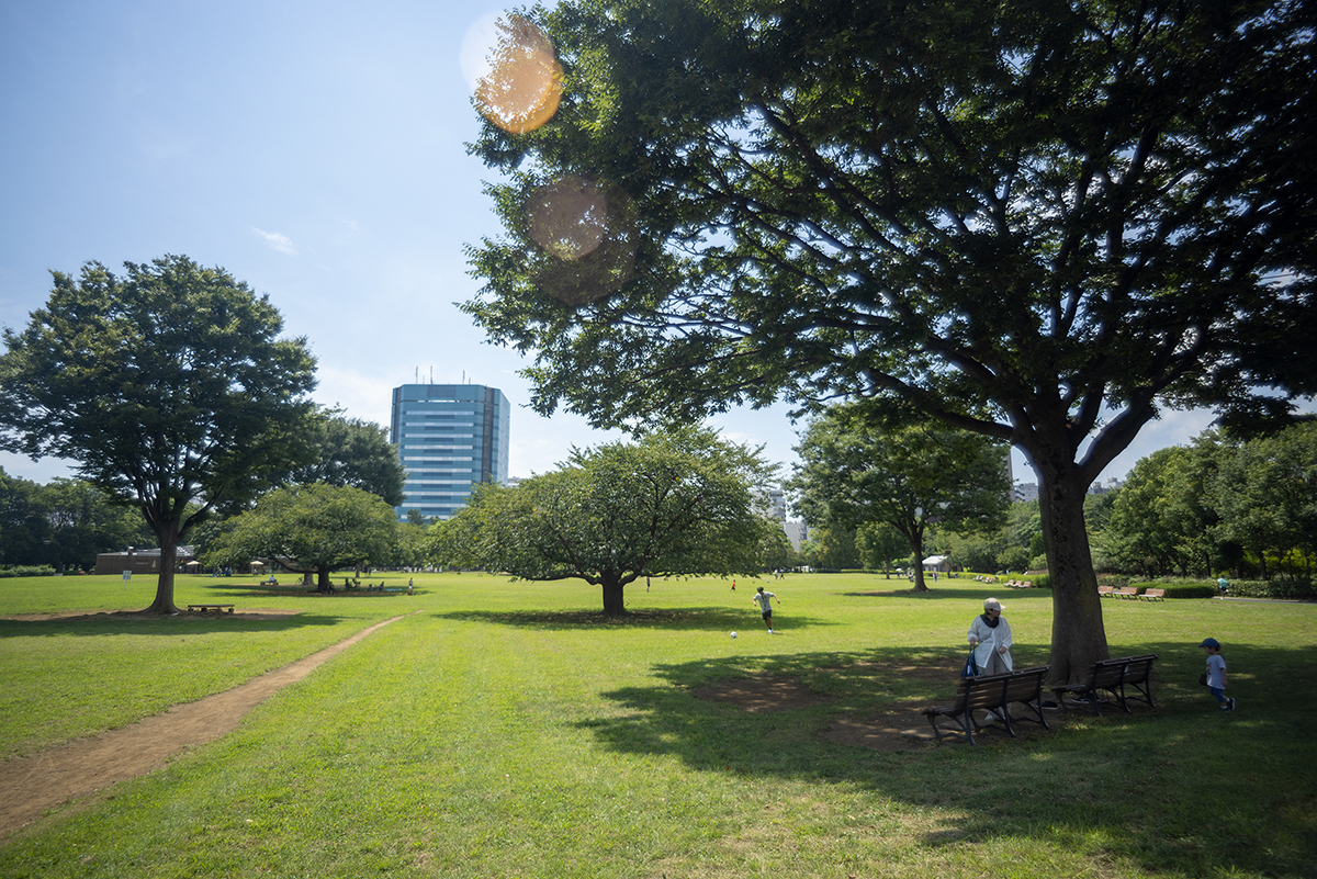 木場公園#2