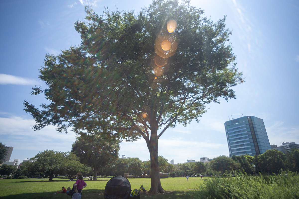 木場公園#3