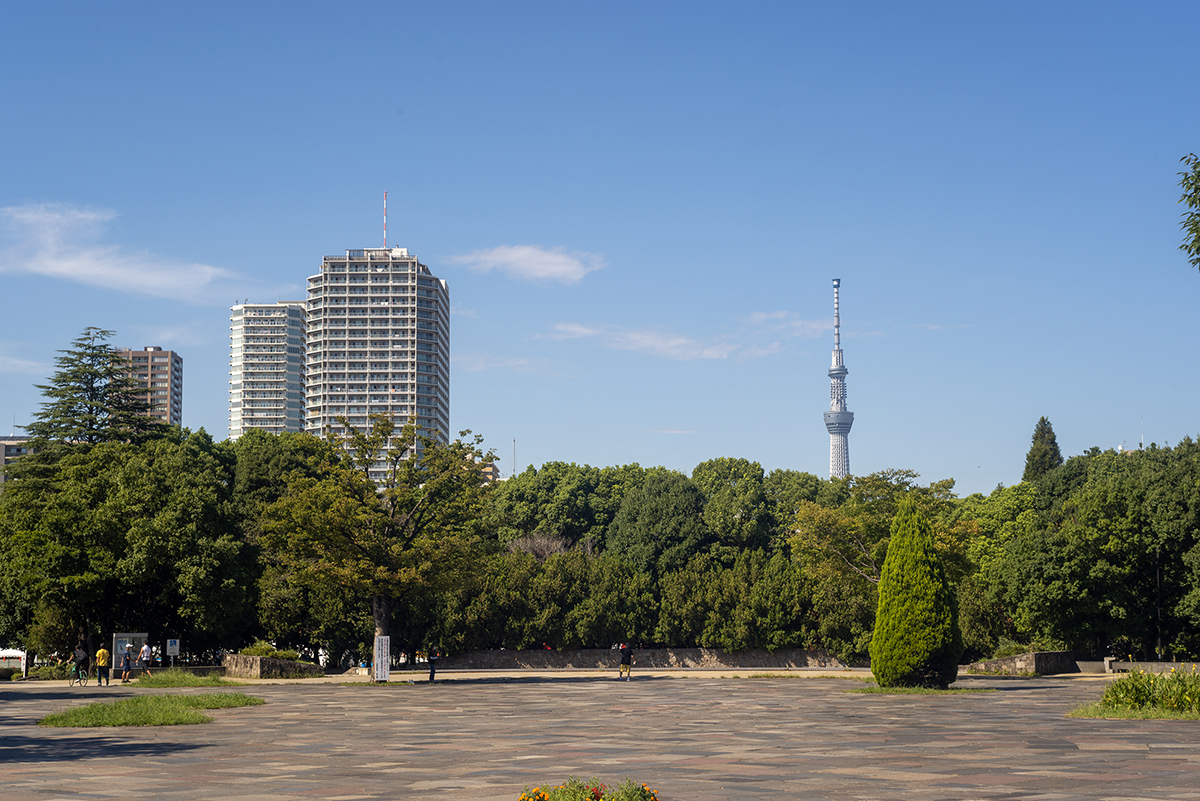 スカイツリーと高層マンション