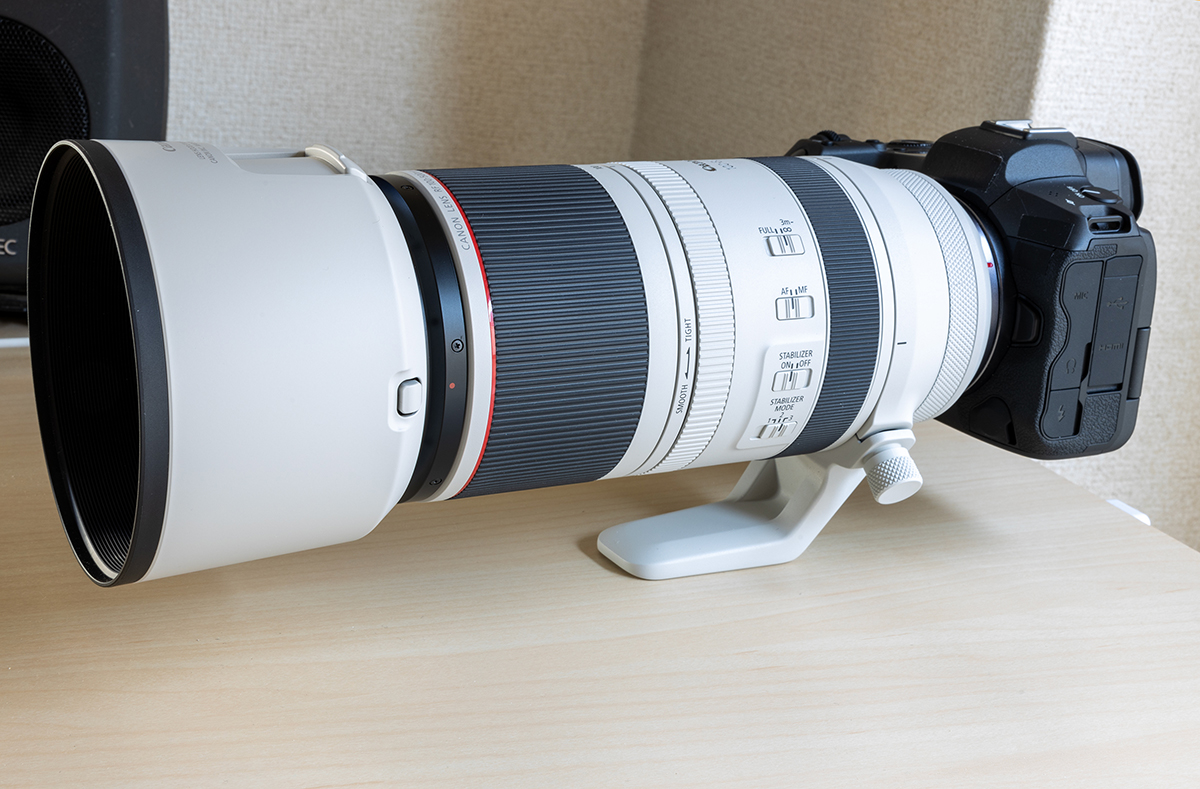EOS R5とRF100-500mm F4.5-7.1 L IS USM