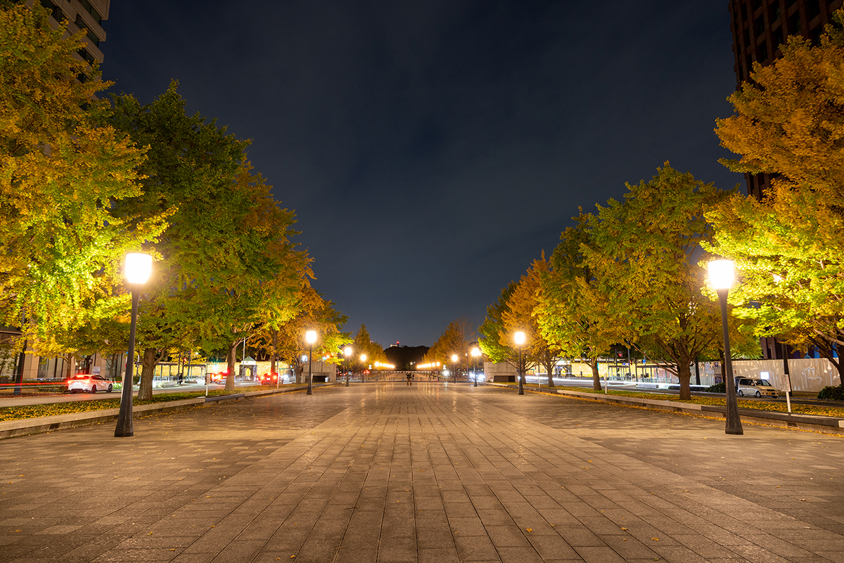 #2 フィルターなし