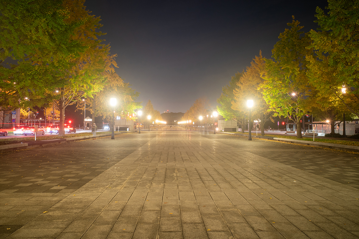 GR III #1 LOW CONTRAST No.1