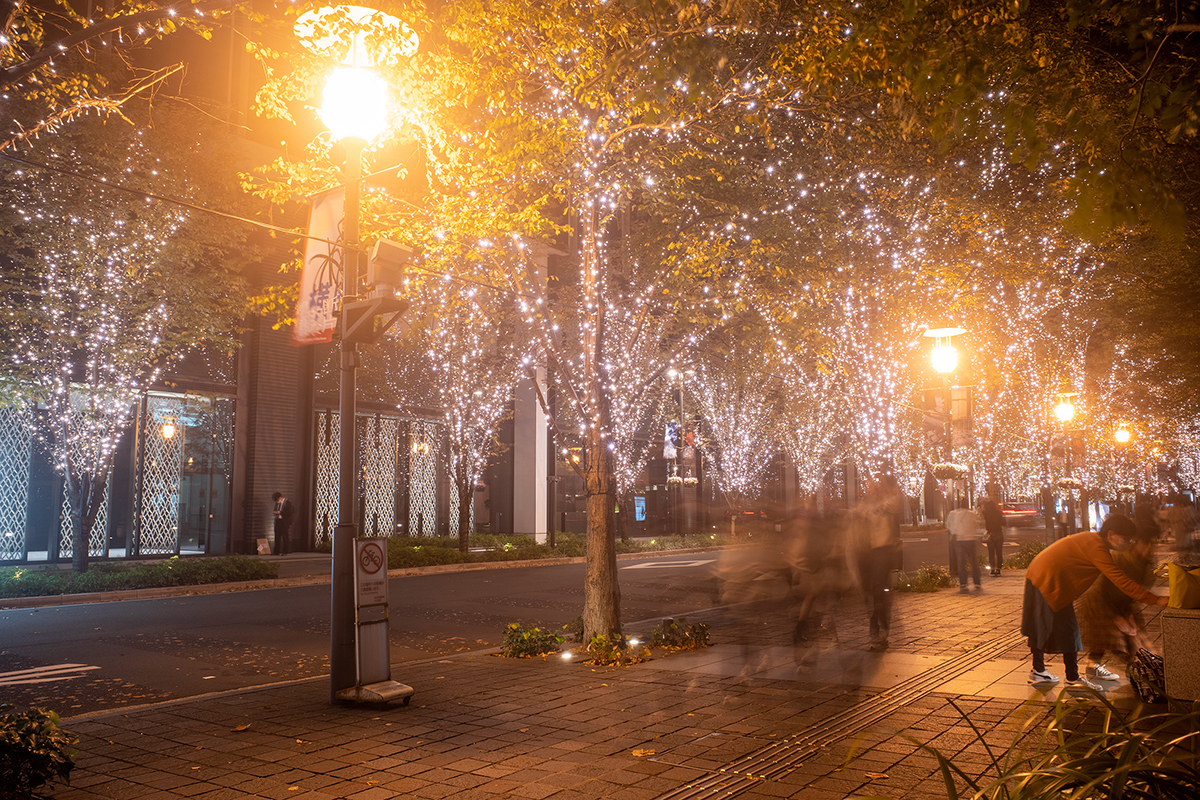 GR III #2 LOW CONTRAST No.1