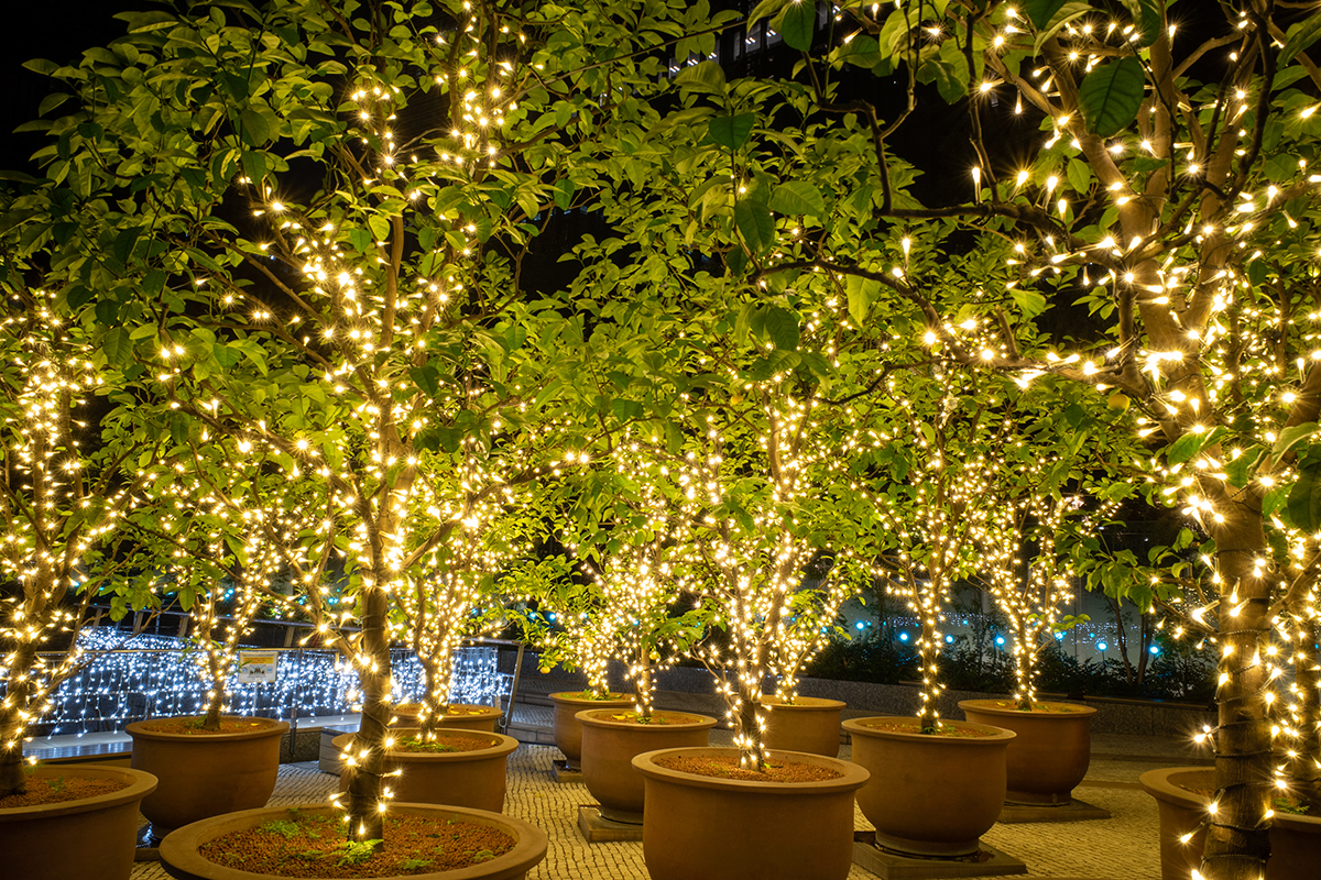 GR III #4 フィルターなし