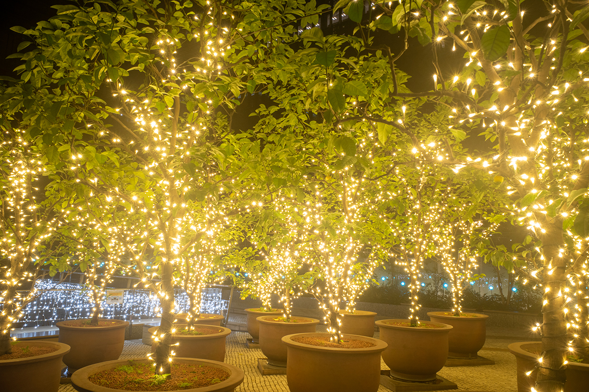 GR III #4 LOW CONTRAST No.1