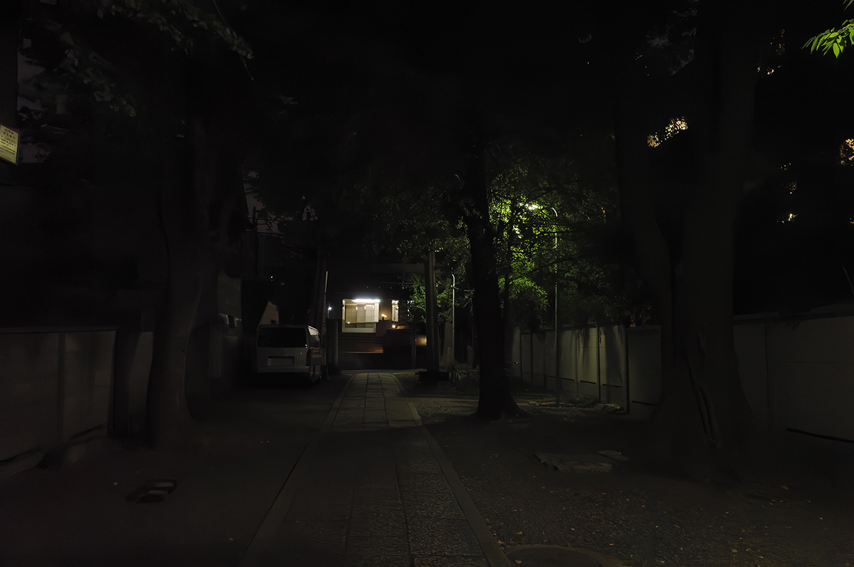 RICOH GR 神社 PureRAW